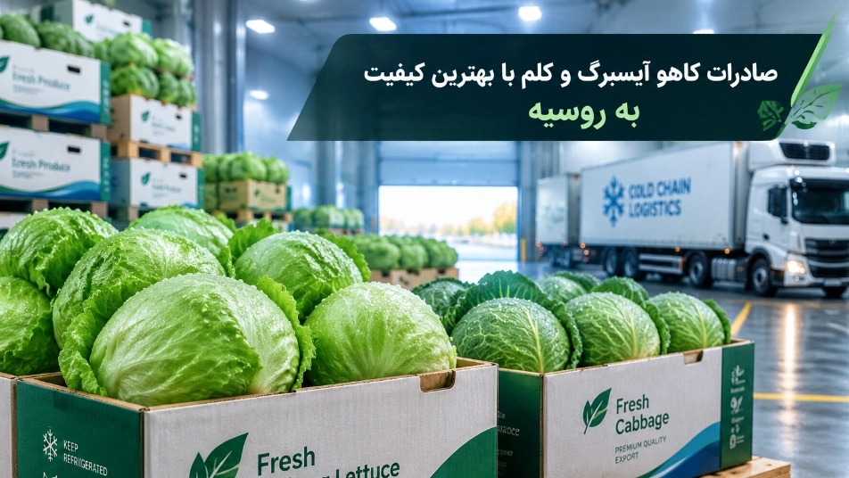 Rusya'ya en kaliteli marul ve lahana ihracatı