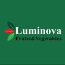 Luminova Trading